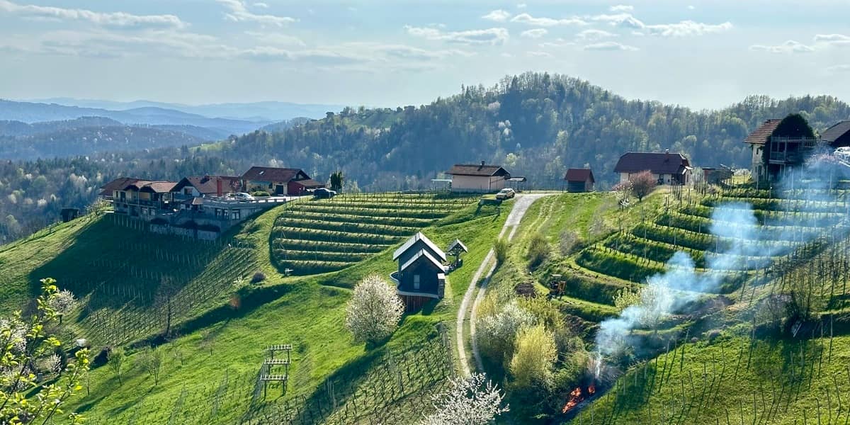 Découverte de La Slovénie, 5 Vins AOP, 1 Bulle rosé & gourmandises