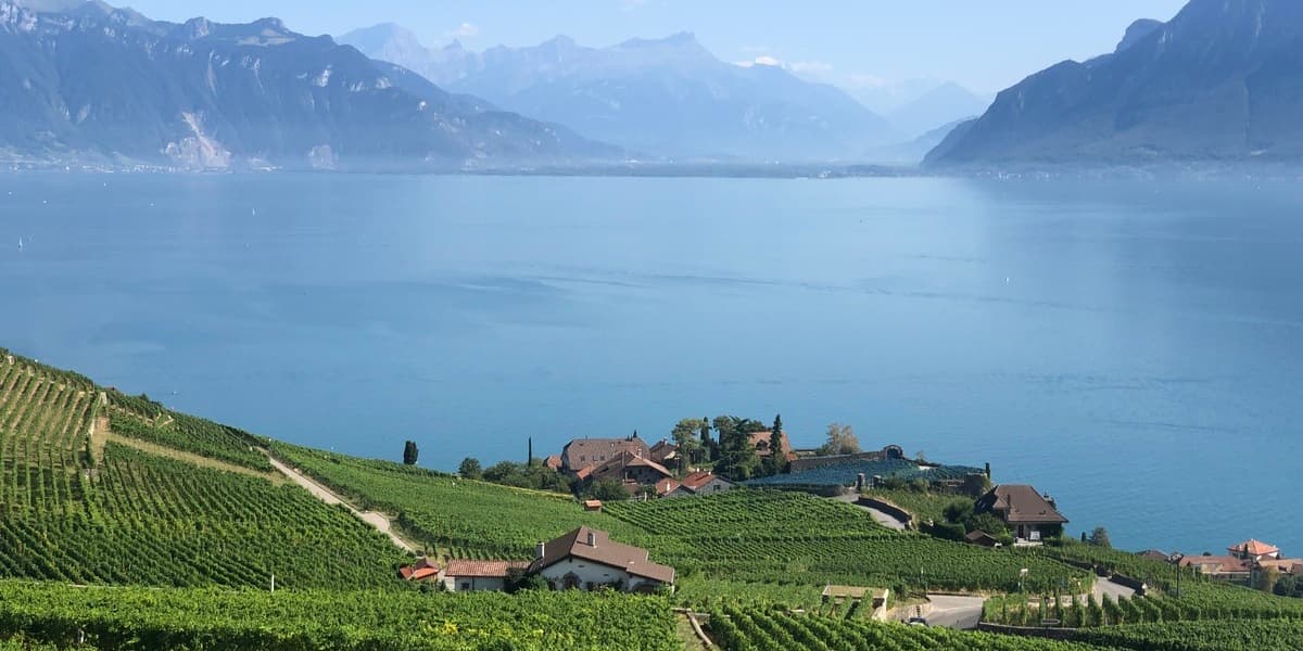 Le Chardonnay à travers le Monde, 5 Chardonnay, 1 Champagne d'Aÿ Blanc de Blanc & gourmandises