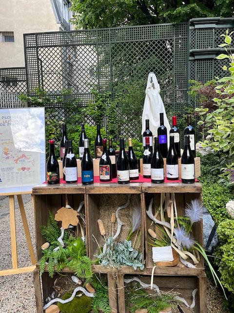 Une animation œnologique au Cercle LeBrun, un bar à vins de qualité !